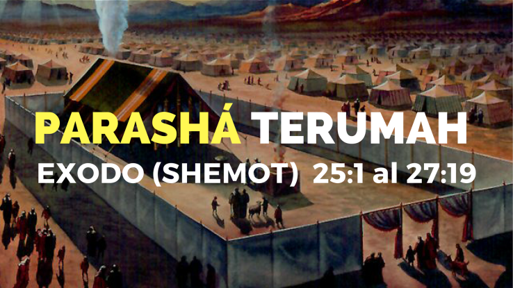 PARASHA 738x415